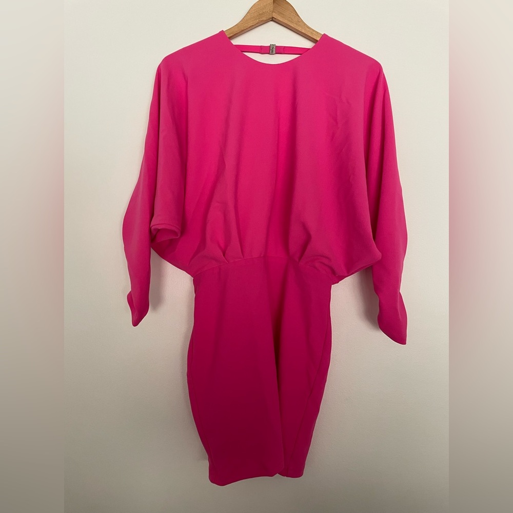NWT small Zara Pink dress